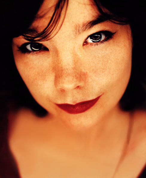 488px x 594px - Bjork Lyrics Part 2, Photos, Pictures, Paroles, Letras, Text for every songs